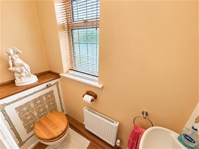 Picture 7